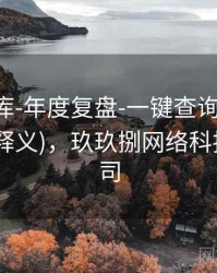 玖玖图库-年度复盘-一键查询-统计中心(字段释义)，玖玖捌网络科技有限公司