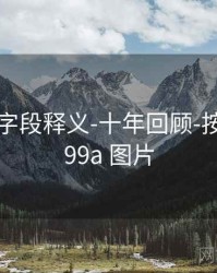 99图库-字段释义-十年回顾-按需筛选，99a 图片