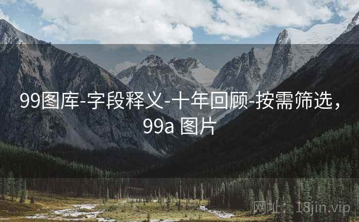 99图库-字段释义-十年回顾-按需筛选，99a 图片